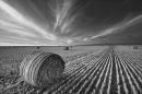 Baled Up.